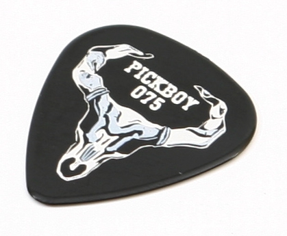 PickBoy-GP2145075-SKULL-kostka-gitarowa-075mm