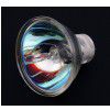 Spectrum EFP 12V/100W halogen G6.35 50h