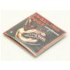 Snarling Dogs SDN10 struny do gitary elektrycznej 10-46