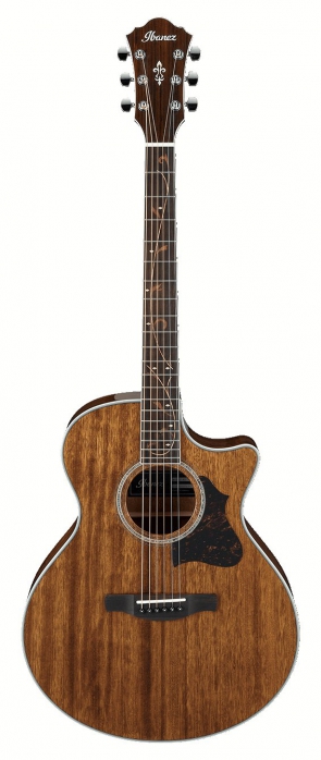 Ibanez AE 245 NT gitara elektroakustyczna