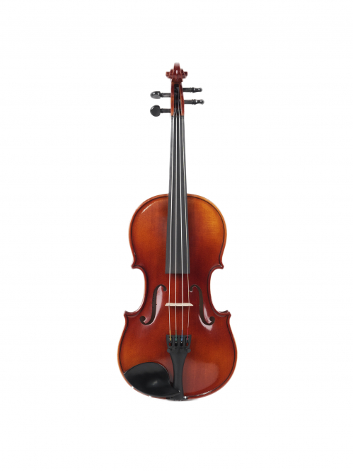 Strunal Academy Florence 193wA mod. Stradivari - czeskie skrzypce koncertowe 1/2