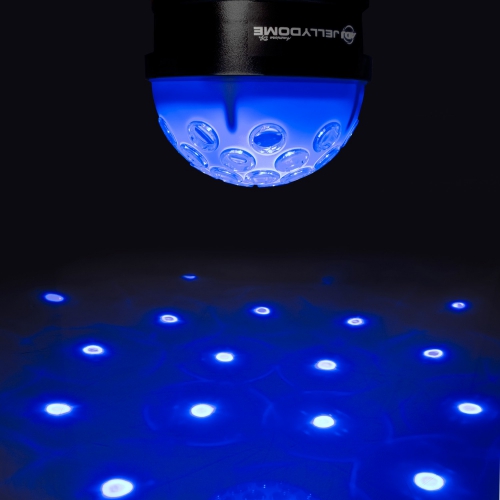 American DJ B-Stock Jelly Dome LED Ball kula LED, poekspozycyjny