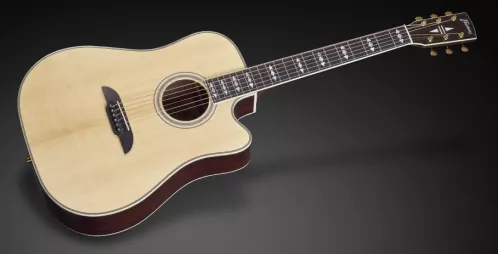 Framus FD 28 JN SR VNT - Jorg Nassler Signature - Vintage Transparent High Polish Natural Tinted + EQ gitara elektroakustyczna Framus FD 28 JN SR VNT - Jorg Nassler Signature - Vintage Transparent High Polish Natural Tinted + EQ gitara elektroakustyczna