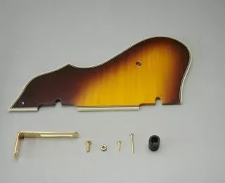 Ibanez 4PG12A0007 pickguard Arctcore Ibanez 4PG12A0007 pickguard Arctcore