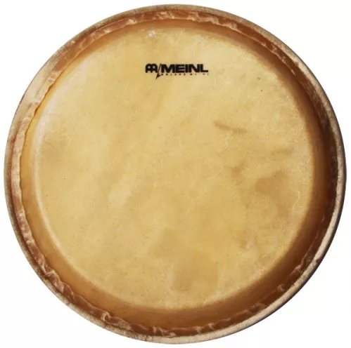 Meinl Head-34 naciąg do Conga 12 1/2″ Meinl Head-34 naciąg do Conga 12 1/2″