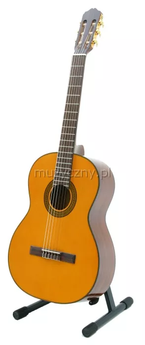 Takamine g 124 new arrivals
