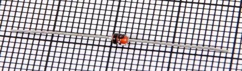 Yamaha VG440800 dioda Zenera Yamaha VG440800 dioda Zenera