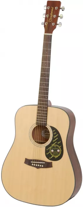 Tanglewood TD 8 gitara akustyczna Tanglewood TD 8 gitara akustyczna