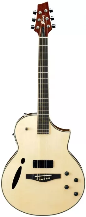 Ibanez MSC350 NT MONTAGE gitara elektroakustyczna Ibanez MSC350 NT MONTAGE gitara elektroakustyczna