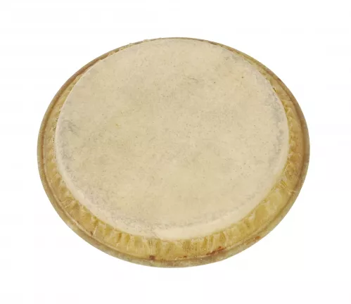 Boston 405-K membrana do bongosów 18 cm Boston 405-K membrana do bongosów 18 cm