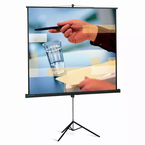 Projecta Professional Standard 213x213 Matte White Projecta Professional Standard 213x213 Matte White