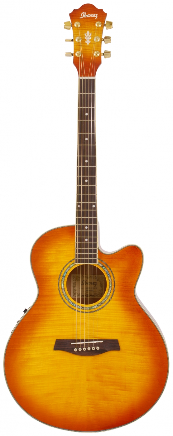 Ibanez ael 20 sales
