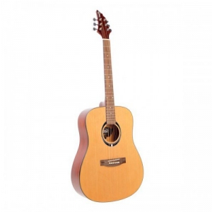 Flycat C100 NT gitara akustyczna