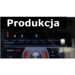 Musoneo Przejścia w muzyce elektronicznej - kurs video PL, wersja elektroniczna