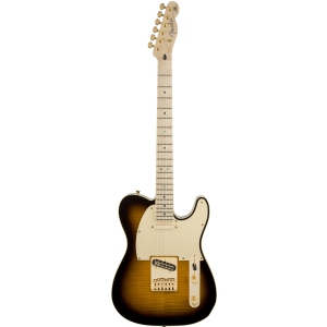 Fender Richie Kotzen Telecaster Maple Fingerboard Brown  (...)