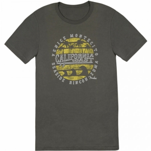 Fender Cali Coastal Yellow Waves Men′s T-Shirt, Gray, S koszulka