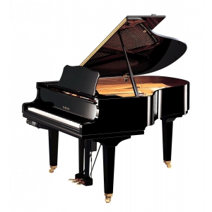 Yamaha DGC2 EN PE fortepian z systemem disclavier