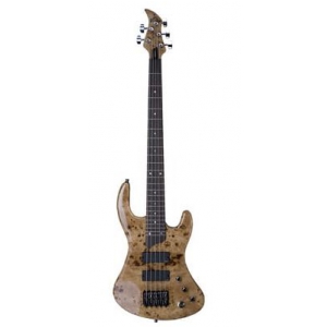 Esh Sovereign 5 PB gitara basowa (Poplar Burl, High Gloss, hi-end Piezo System, German and US Hardware)
