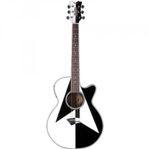 Dean Michael Schenker Performer gitara elektroakustyczna