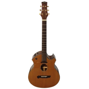 Parker P-9EN gitara elektroakustyczna