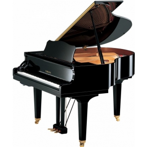 Yamaha GB1 K SC2 PE Baby Grand Silent fortepian (151 cm)