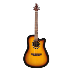 Flycat C100 TSB gitara akustyczna