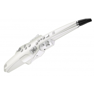 Roland AE 10 Aerophone