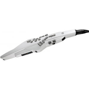 Roland AE-20W Aerophone bia�y
