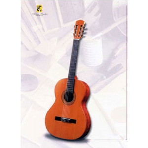 Sanchez S-10 gitara klasyczna