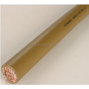 Pinanson 312 multicore audio live 32p