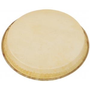 Boston 405-G  membrana do bongosów 20,5 cm