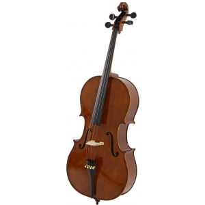 Strunal 4/17WE Academy Salzburg - czeska wiolonczela  4/4