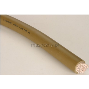 Pinanson 313 multicore audio live 42p