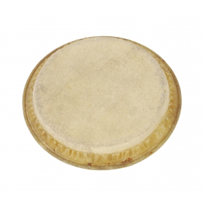 Boston 405-K membrana do bongosów 18 cm