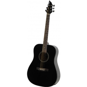 Flycat Standard BK gitara akustyczna