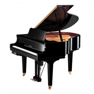 Yamaha D GB1 K ENST PE Baby Grand Disklavier fortepian (151 cm)