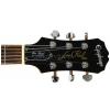 Epiphone Les Paul Standard Plus TA gitara elektryczna