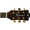 Richwood RD22 CE gitara elektroakustyczna Western/Dreadnought