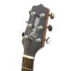 Takamine EG220NS gitara akustyczna