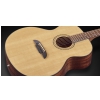Framus FJ 14 Solid A Sitka Spruce Natural Gloss gitara akustyczna