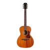 Levinson Canyon Greenbriar LG-222 OPN gitara akustyczna