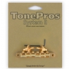 TonePros NVR2G-G - Tune-o-matic Bridge, G Formula Saddles, mostek do gitary, zoty