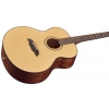 Framus FJ 14 SV - VIntage Transparent Satin Natural Tinted gitara akustyczna