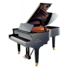 Seiler 168 Virtuoso - fortepian akustyczny