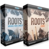 Toontrack Roots SDX Bundle biblioteka brzmie