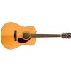 Fender PM-1E Standard Dreadnought, Ovangkol Fingerboard, Natural w/case gitara akustyczna