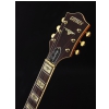 Gretsch G6120 Eddie Cochran Signature Hollow Body with Bigsby Rosewood Fingerboard gitara elektryczna