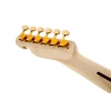 Fender Richie Kotzen Telecaster Maple Fingerboard Brown Sunburst gitara elektryczna