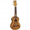 Ortega Lizard CC-GB ukulele koncertowe z elektronik i pokrowcem
