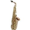 Roy Benson (RB700613) Saksofon altowy w stroju Eb AS202G